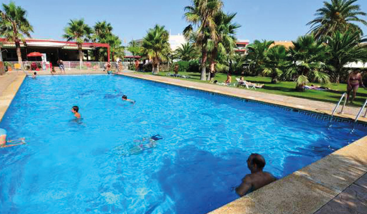 Eucaliptus Catalogna - Amposta visuel 1/3