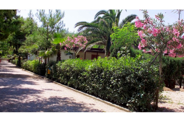 International Torre Cerrano Abruzzo - Pineto visuel 5/6 International Torre Cerrano Abruzzo - Pineto visuel 5/6