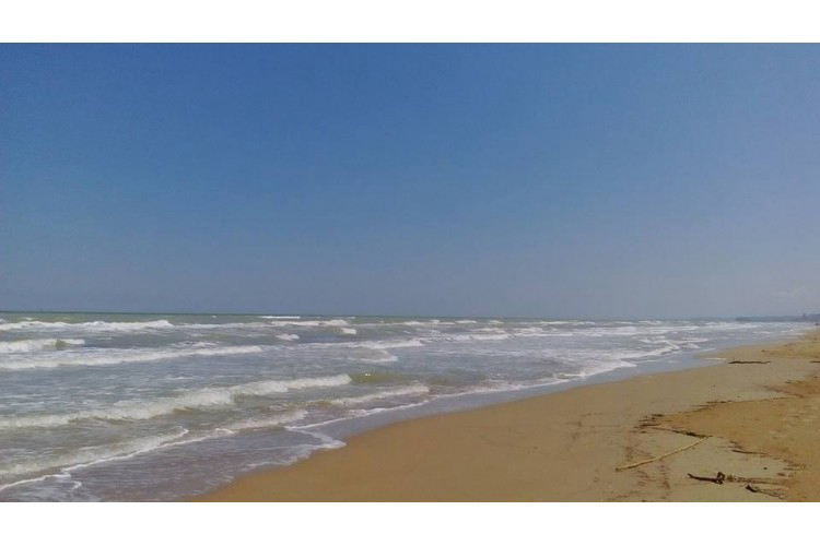 International Torre Cerrano Abruzzo - Pineto visuel 2/6 International Torre Cerrano Abruzzo - Pineto visuel 2/6