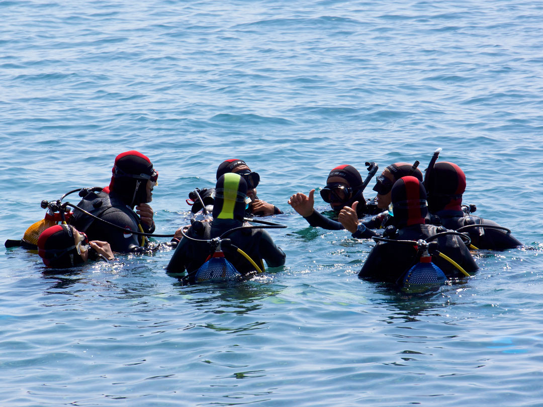 La Garrofa Andalusia - Almería visuel 2/3