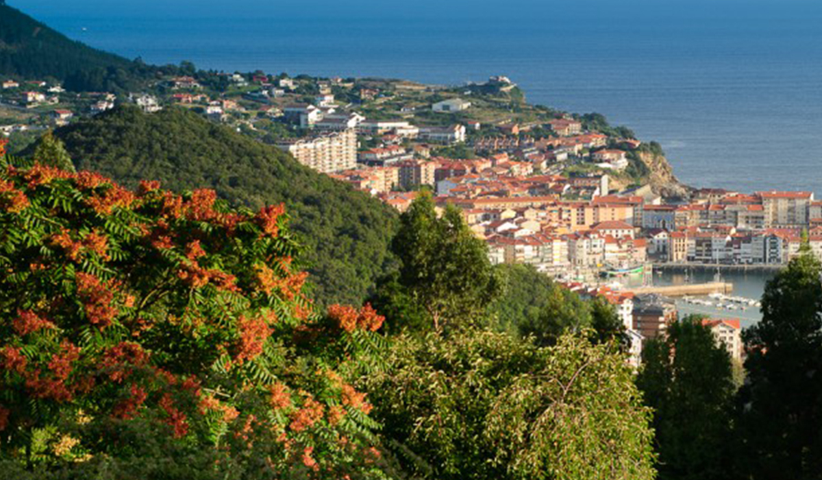 Camping Leagi Paese Basco - Mendexa visuel 1/4