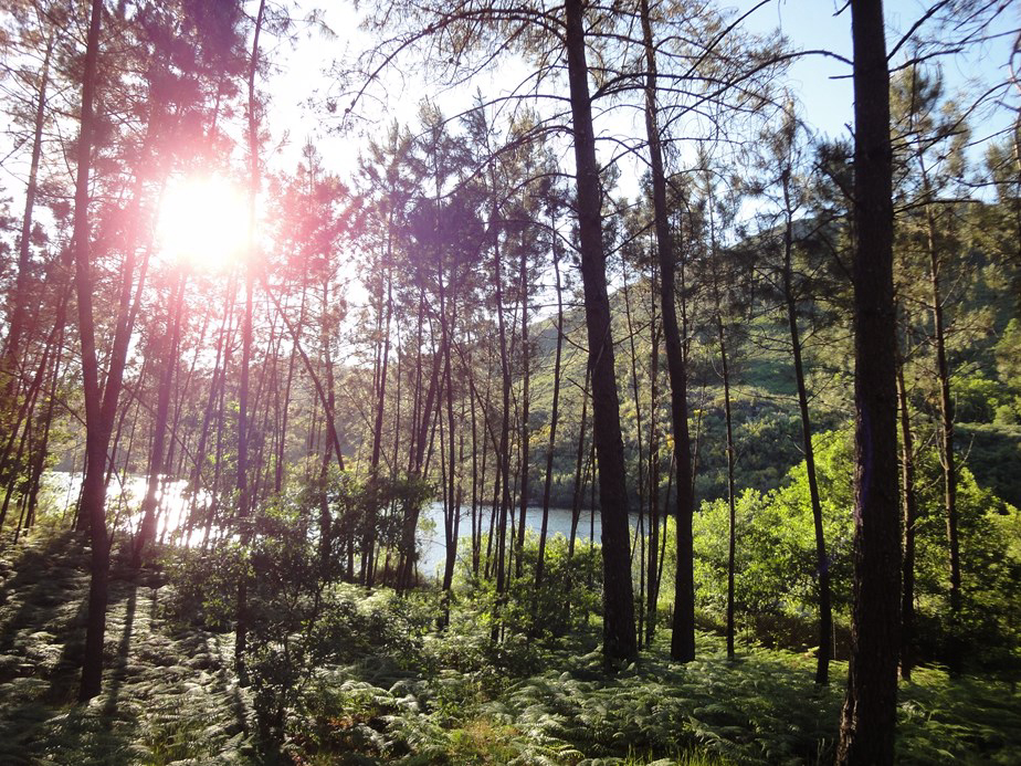 Camping Lima Escape Nord  - Ponte da Barca visuel 4/5