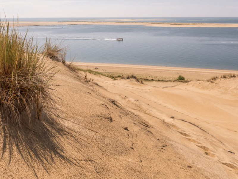 Camping Maurice Paloque Aquitania - Gujan-Mestras visuel 3/4 Camping Maurice Paloque Aquitania - Gujan-Mestras visuel 3/4