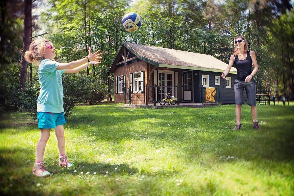 Camping Molenheide Limburgo - Houthalen-Helchteren visuel 3/3