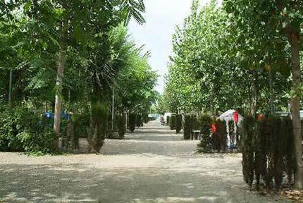 Camping Naturiste Almanat Andalusia - Torre del Mar visuel 3/3