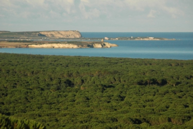 Camping Nurapolis Sardegna - Narbolia visuel 4/7