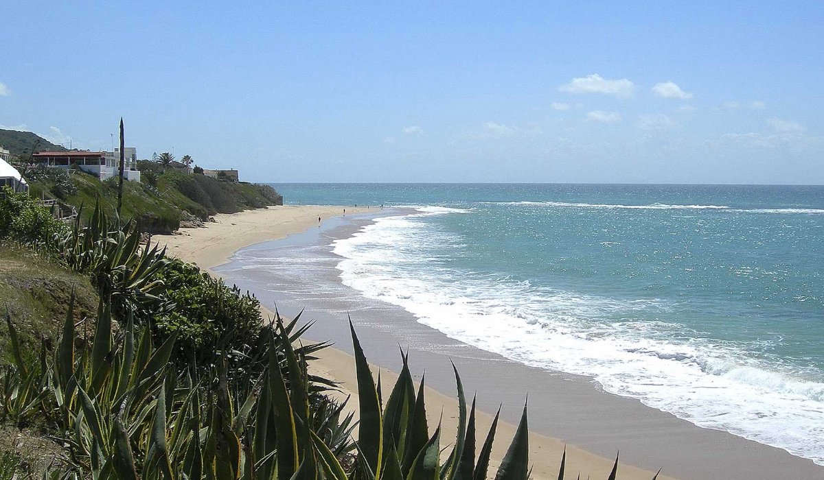 Camping Pinar San José Andalusia - Barbate visuel 1/1