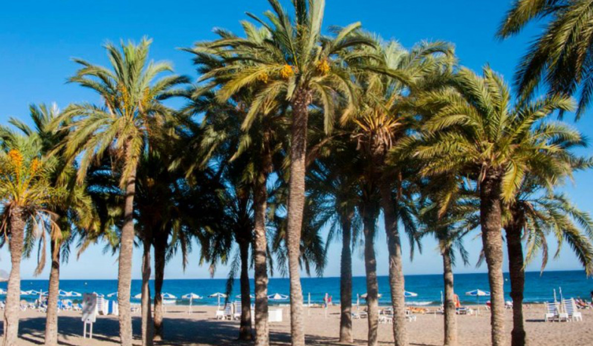 Camping Playa Paraíso Costa di Valencia - La Vila Joiosa visuel 1/1