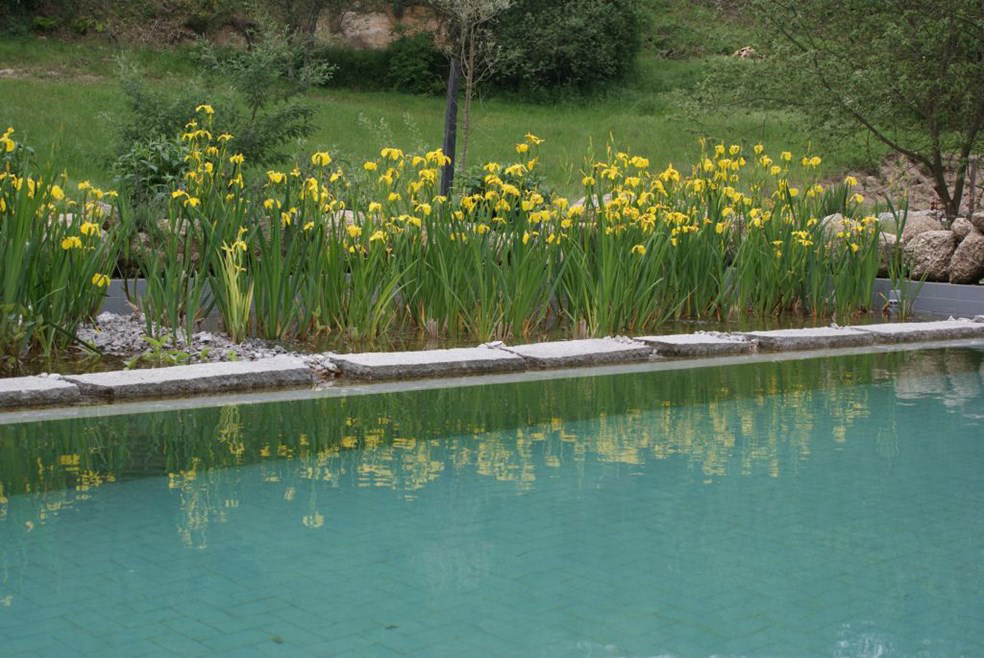 Camping Quinta do Retiro Nord  - covas visuel 2/4