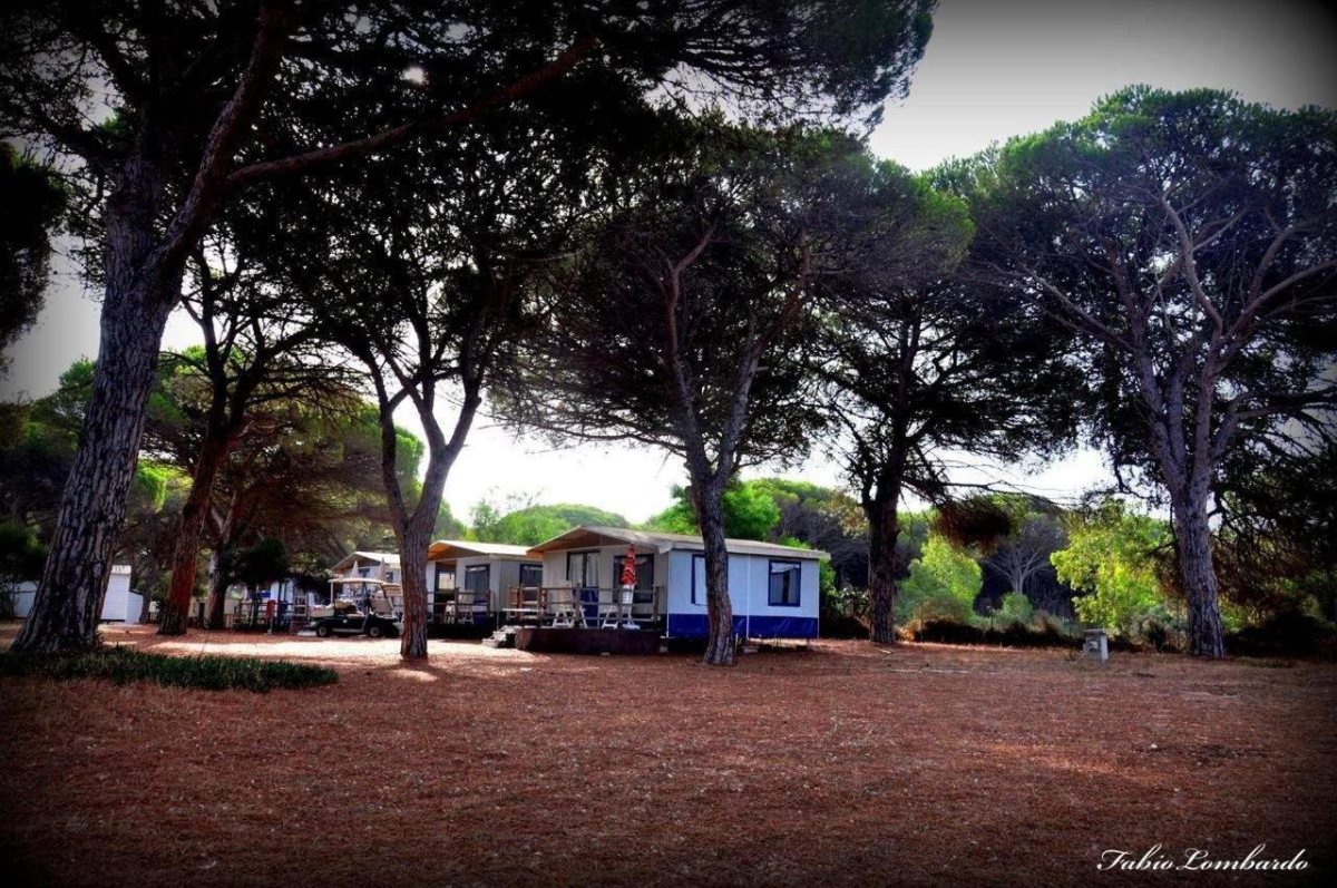 Camping S'Ena Arrubia Sardegna - Arborea visuel 2/2