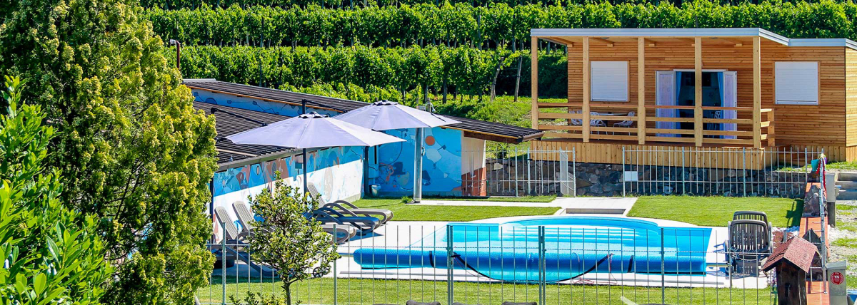 Camping Saksida Wine and Camping Resort Istria Slovena - Dornberk visuel 2/3