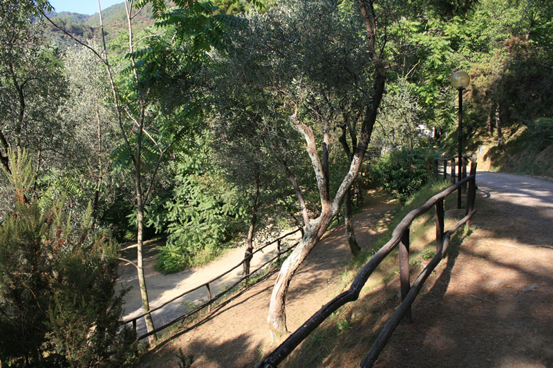 San Michele Liguria - levanto visuel 3/3