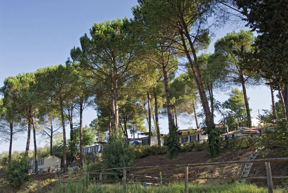 Toscana Village Toscana - Montopoli Val d'Arno visuel 3/19