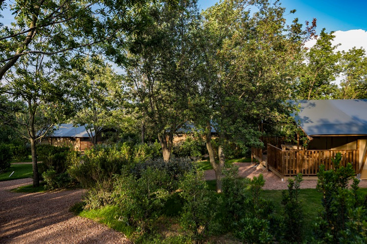 Tenuta Poggio Rosso Toscana - Piombino visuel 3/5