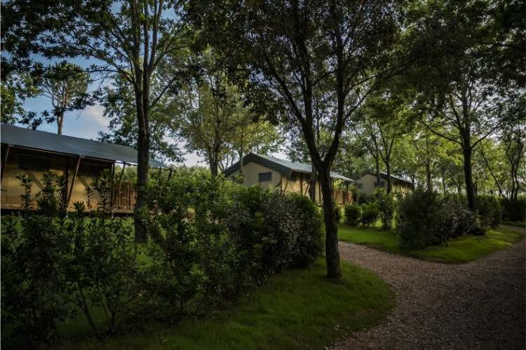 Tenuta Poggio Rosso Toscana - Piombino visuel 2/5