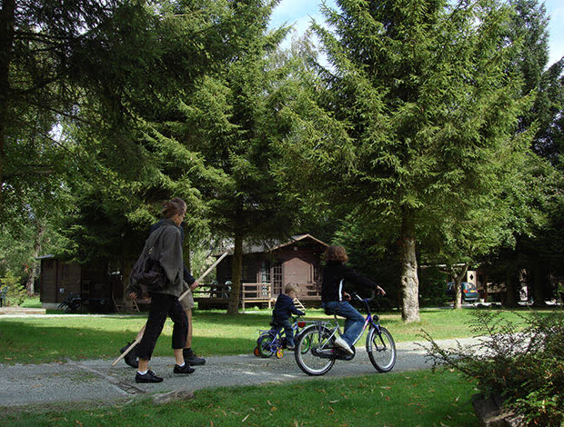 Camping Tonny Lussemburgo - Sainte-Ode visuel 3/3