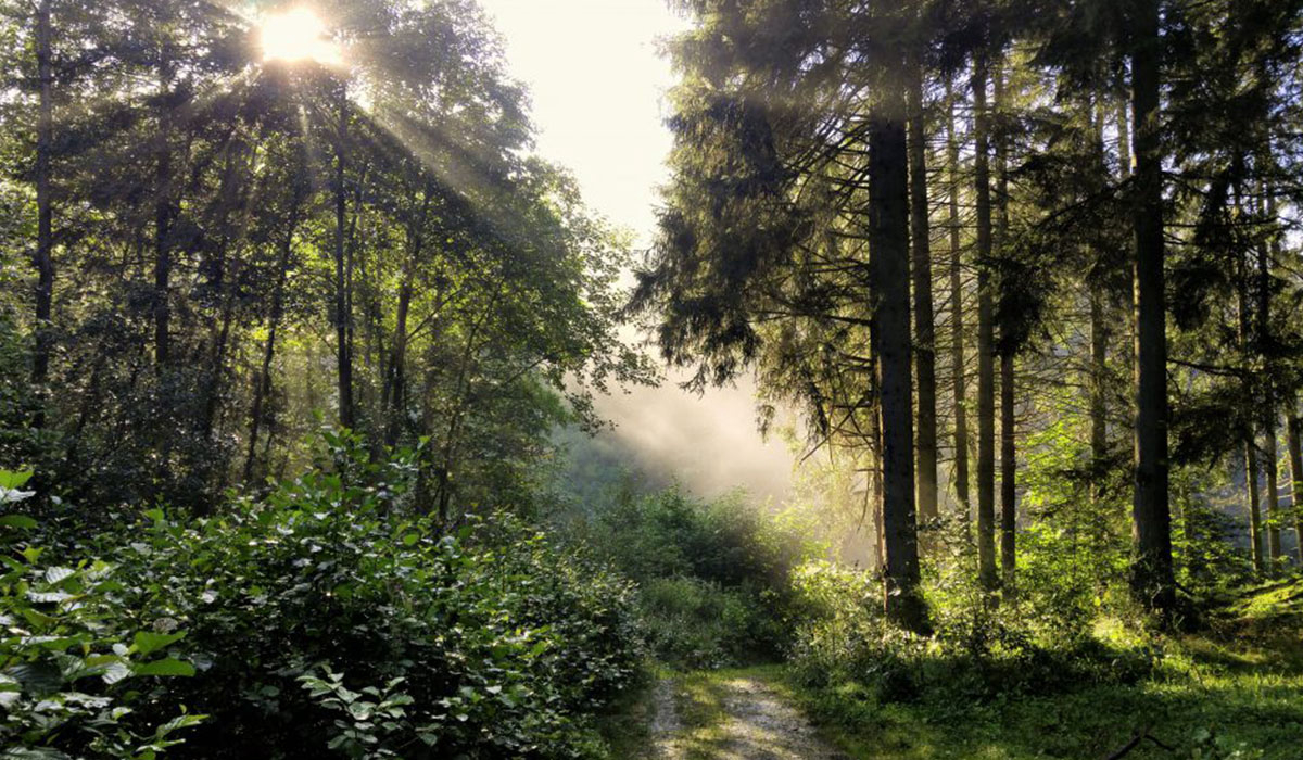 Camping Tro Do Way Lussemburgo - Bertogne visuel 1/4