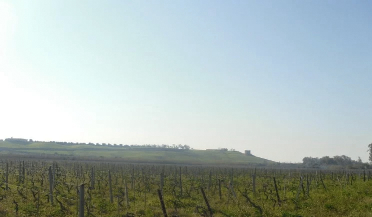 Villaggio Le Casette Calabria - Cirò Marina visuel 1/4