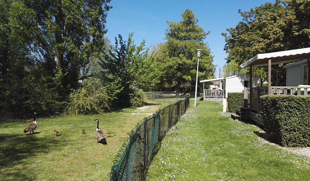 Camping de Châlons en Champagne Champagne-Ardenne - Châlons-en-Champagne visuel 7/8 Camping de Châlons en Champagne Champagne-Ardenne - Châlons-en-Champagne visuel 7/8