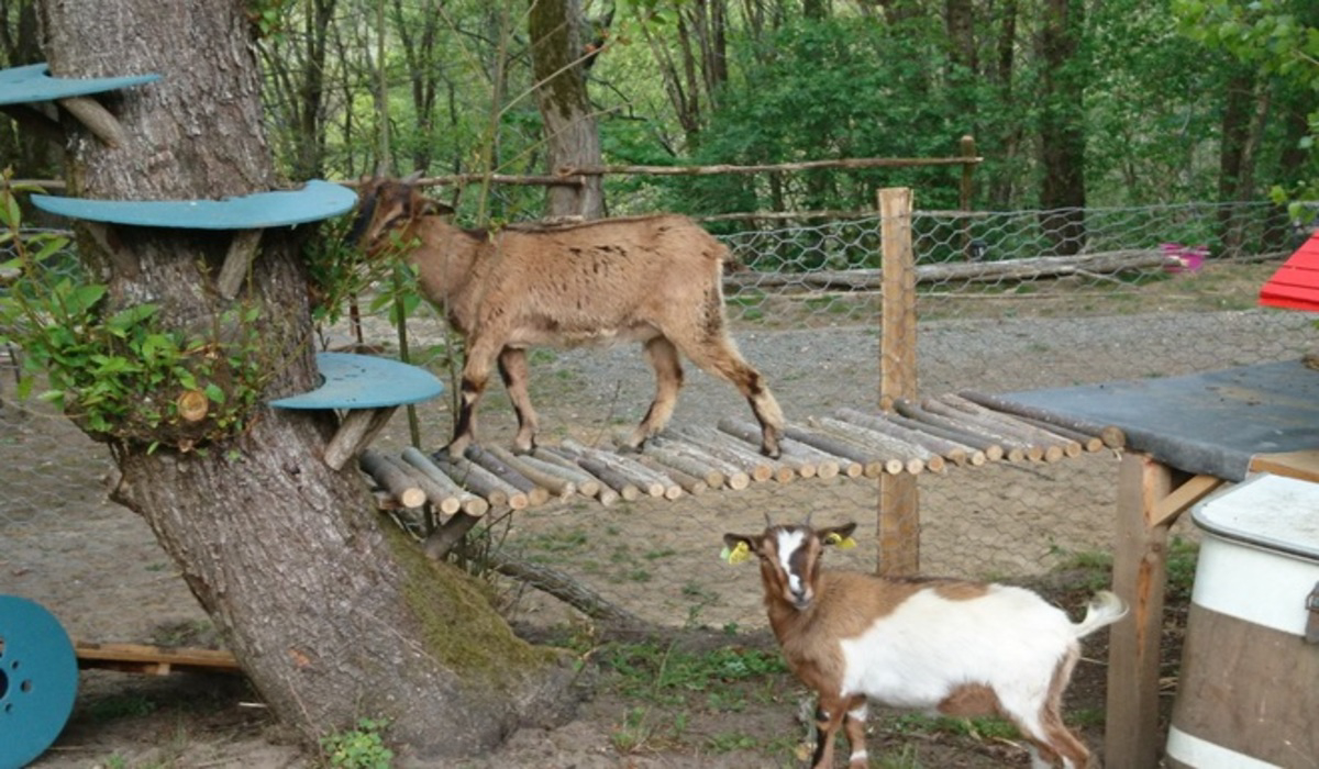 Camping de Montmaurin Midi-Pirenei - Montmaurin visuel 5/8 Camping de Montmaurin Midi-Pirenei - Montmaurin visuel 5/8