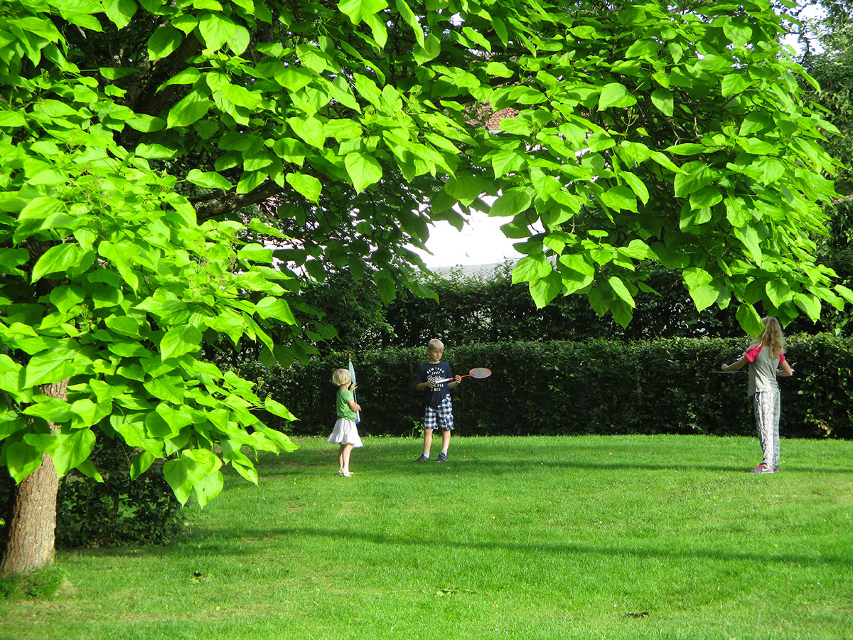 Camping de Vittel Lorena - Vittel visuel 6/10