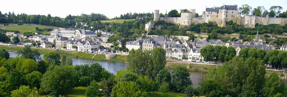 Camping de l'Ile Auger Centro-Valle della Loira - Chinon visuel 2/4 Camping de l'Ile Auger Centro-Valle della Loira - Chinon visuel 2/4