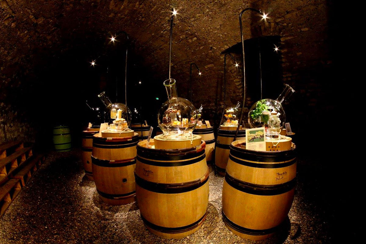 Camping de l'île Centro-Valle della Loira - Bannay visuel 11/13 Camping de l'île Centro-Valle della Loira - Bannay visuel 11/13