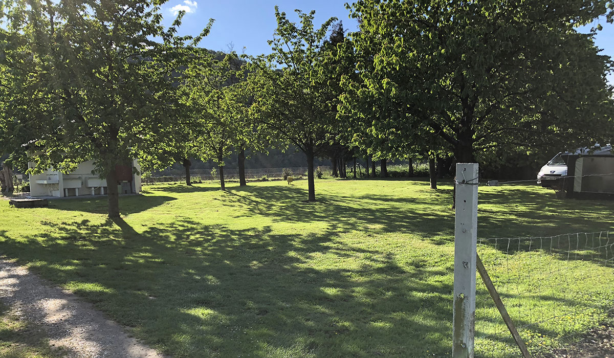 Camping de la Seine Alta Normandia - Jumièges visuel 2/3 Camping de la Seine Alta Normandia - Jumièges visuel 2/3