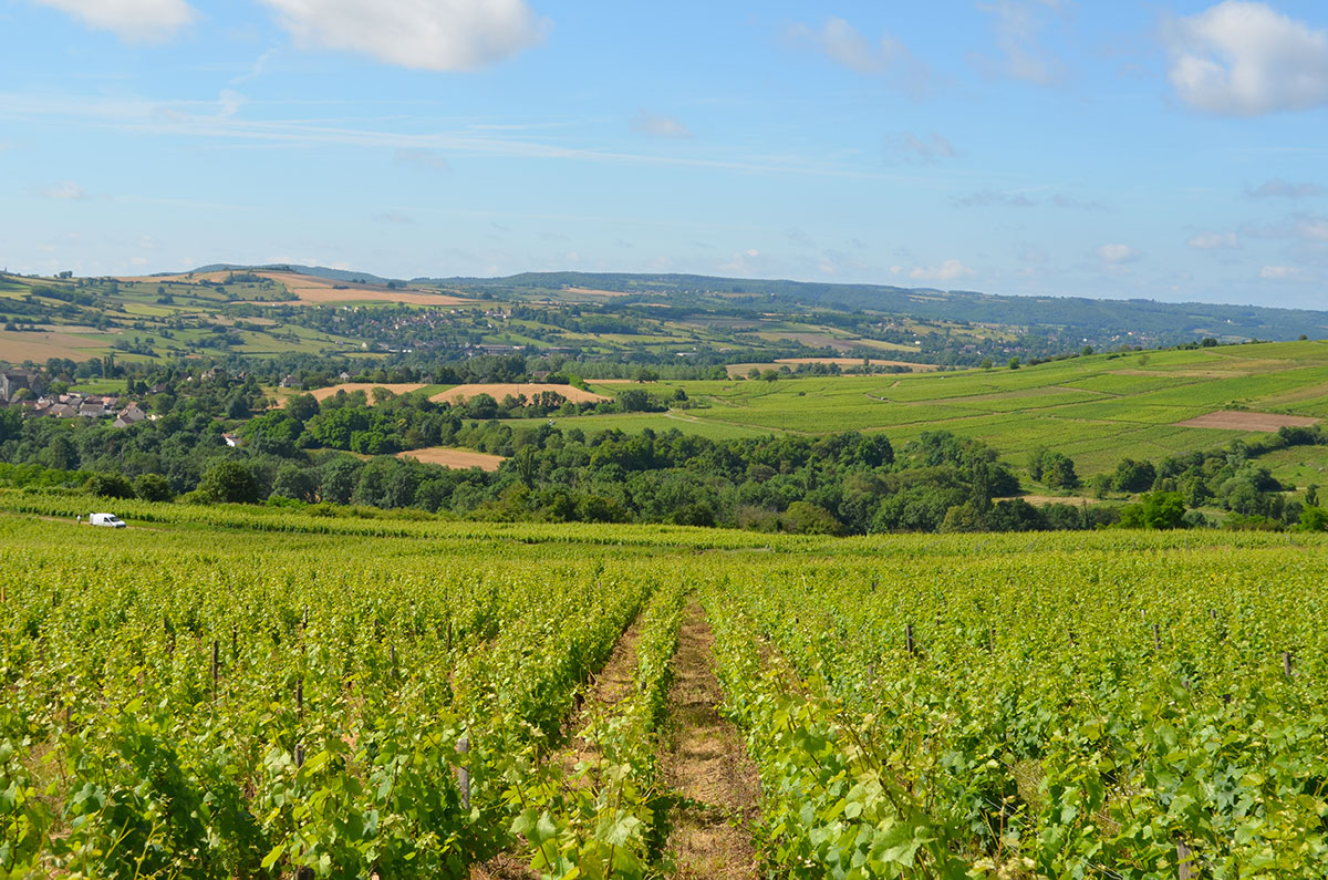 Camping des Sources Bourgogne - Santenay visuel 9/16