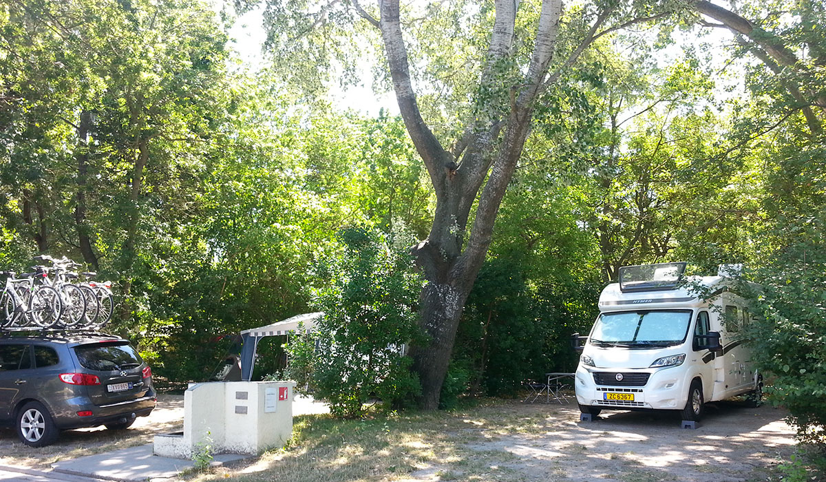 Camping du Pont d'Avignon Provenza-Alpi-Costa Azzurra - Avignon visuel 5/9