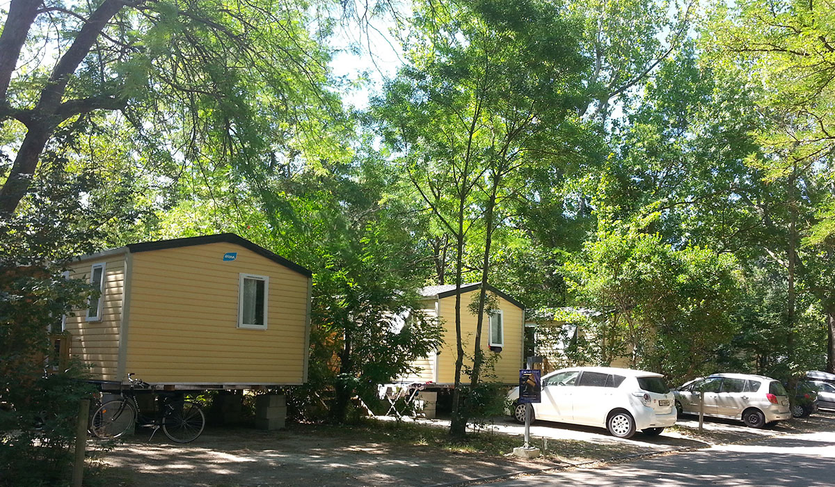 Camping du Pont d'Avignon Provenza-Alpi-Costa Azzurra - Avignon visuel 6/9