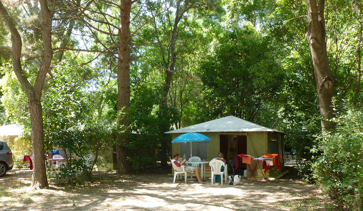 Camping du Pont d'Avignon Provenza-Alpi-Costa Azzurra - Avignon visuel 4/9