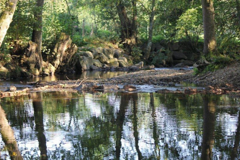 Camping l'Eau Rouge Liegi - Stavelot visuel 2/3 Camping l'Eau Rouge Liegi - Stavelot visuel 2/3