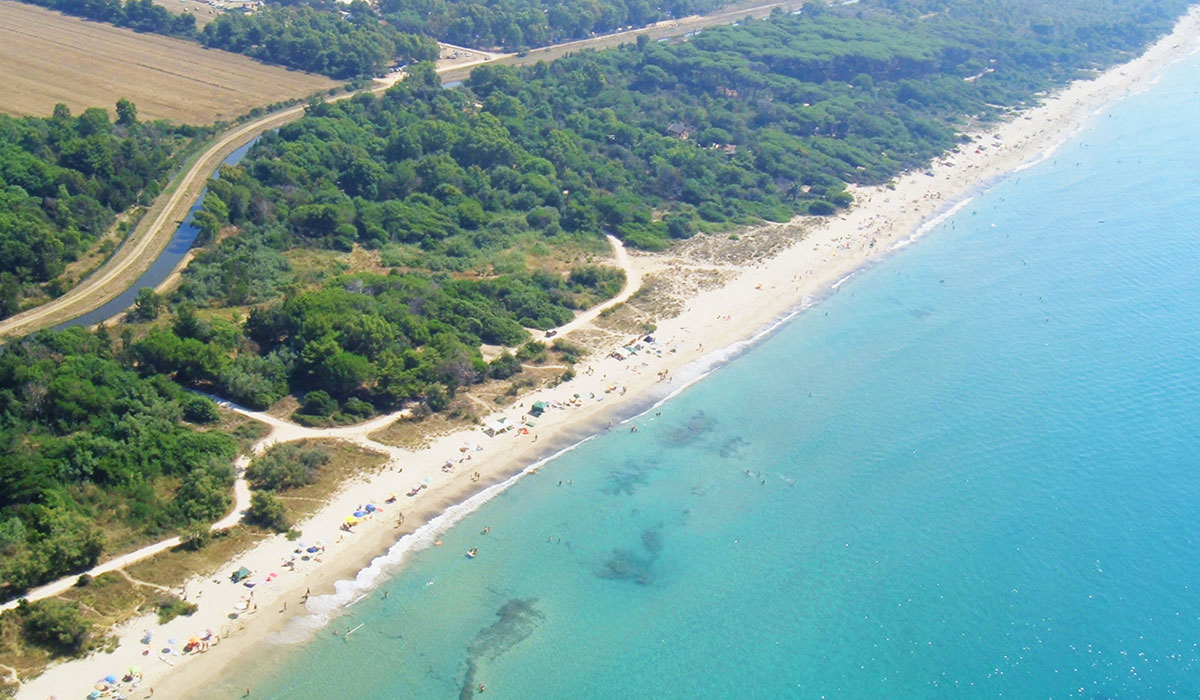 Campo Al Fico Toscana - Piombino visuel 2/5