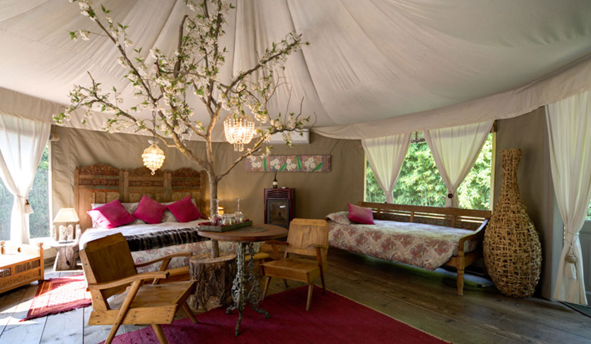 Canonici di San Marco Veneto - mirano visuel 3/5