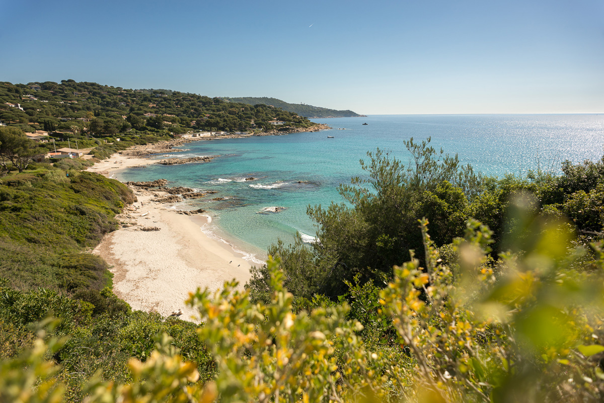 Cap Taillat Provenza-Alpi-Costa Azzurra - Ramatuelle visuel 4/11