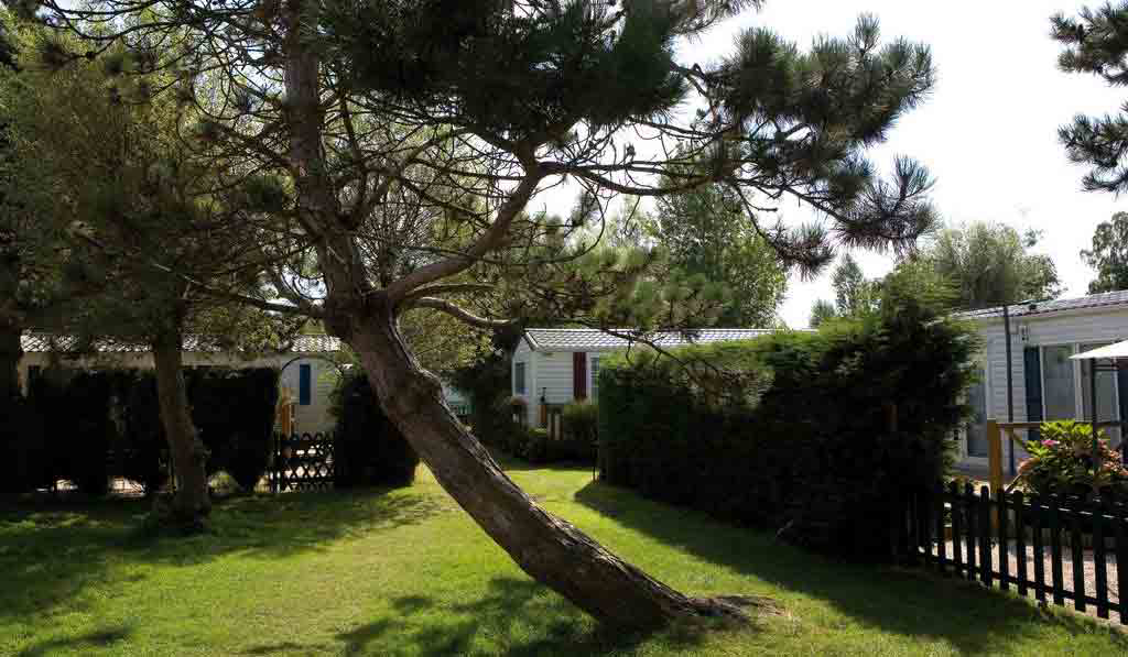 Caravaning Les Garennes Nord-Passo di Calais - Rang-du-Fliers visuel 2/4 Caravaning Les Garennes Nord-Passo di Calais - Rang-du-Fliers visuel 2/4