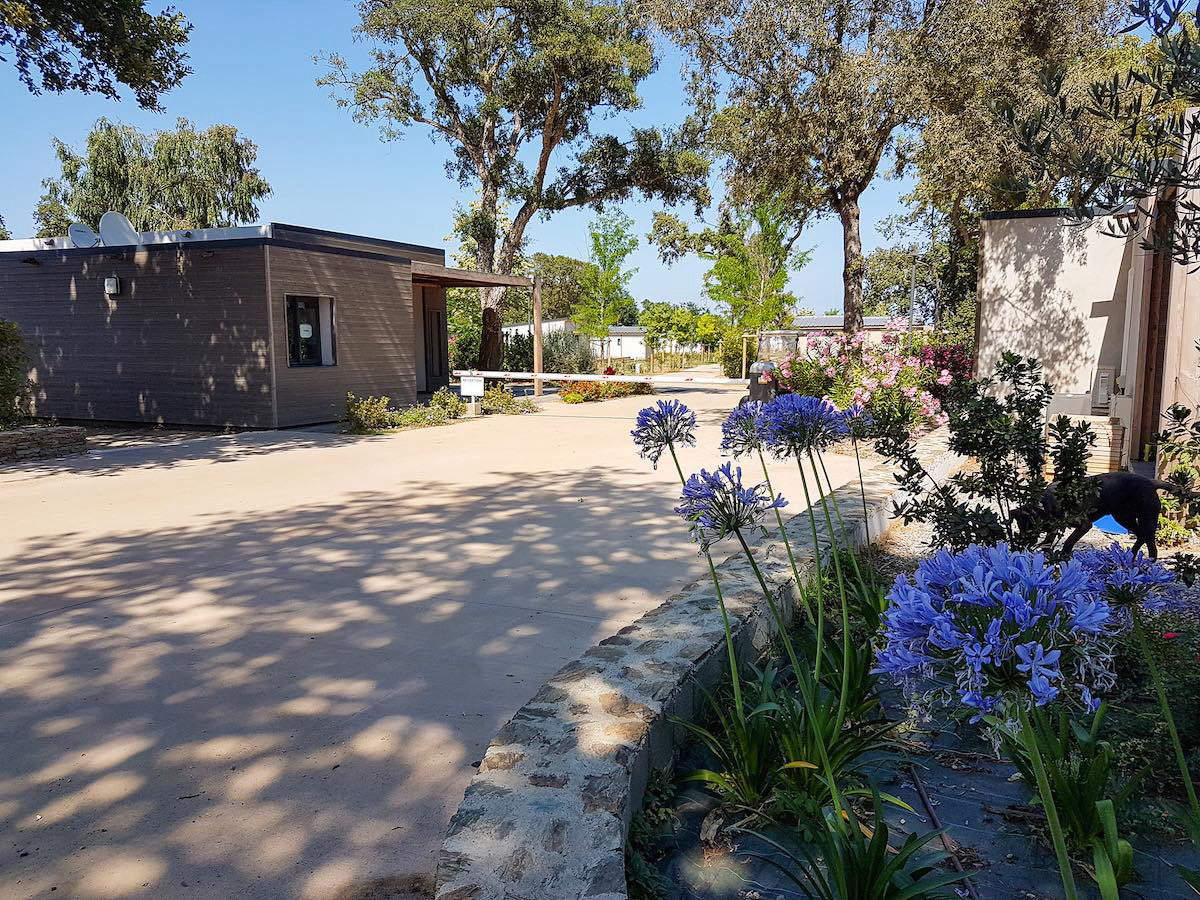 Casa e Natura Corsica - Santa-Maria-Poggio visuel 3/8