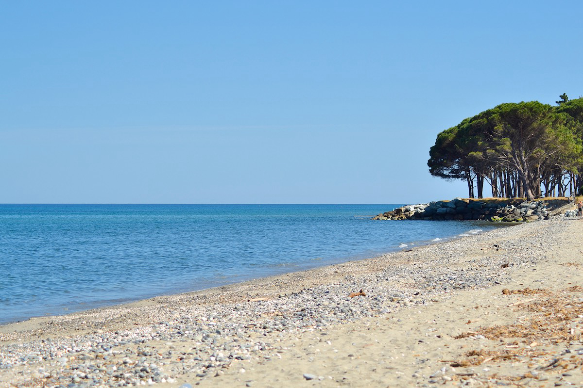 Casa e Natura Corsica - Santa-Maria-Poggio visuel 6/8