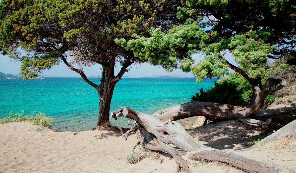 Centro Vacanze Isuledda Sardegna - Cannigione visuel 2/14