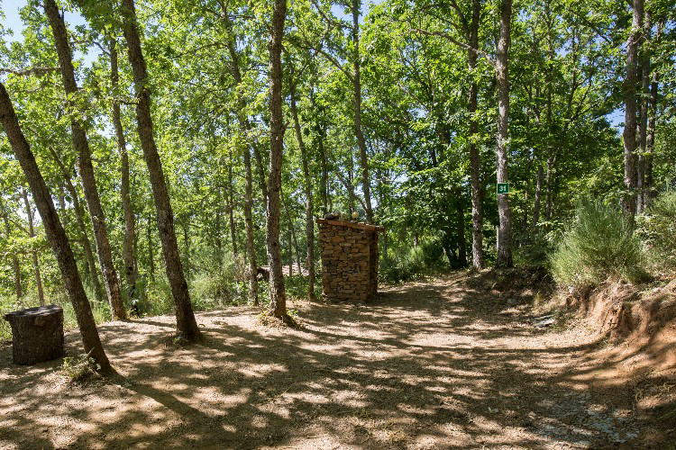 Cepo Verde Nord  - Gondesende visuel 2/10