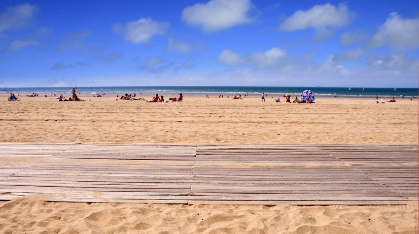Chant des Oiseaux Bassa Normandia - Trouville-sur-Mer visuel 1/1