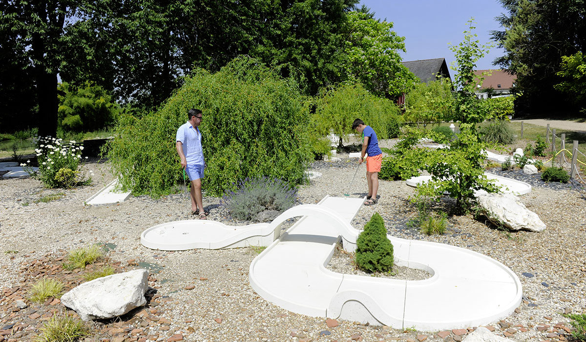Château des Marais Centro-Valle della Loira - Muides-sur-Loire visuel 12/22