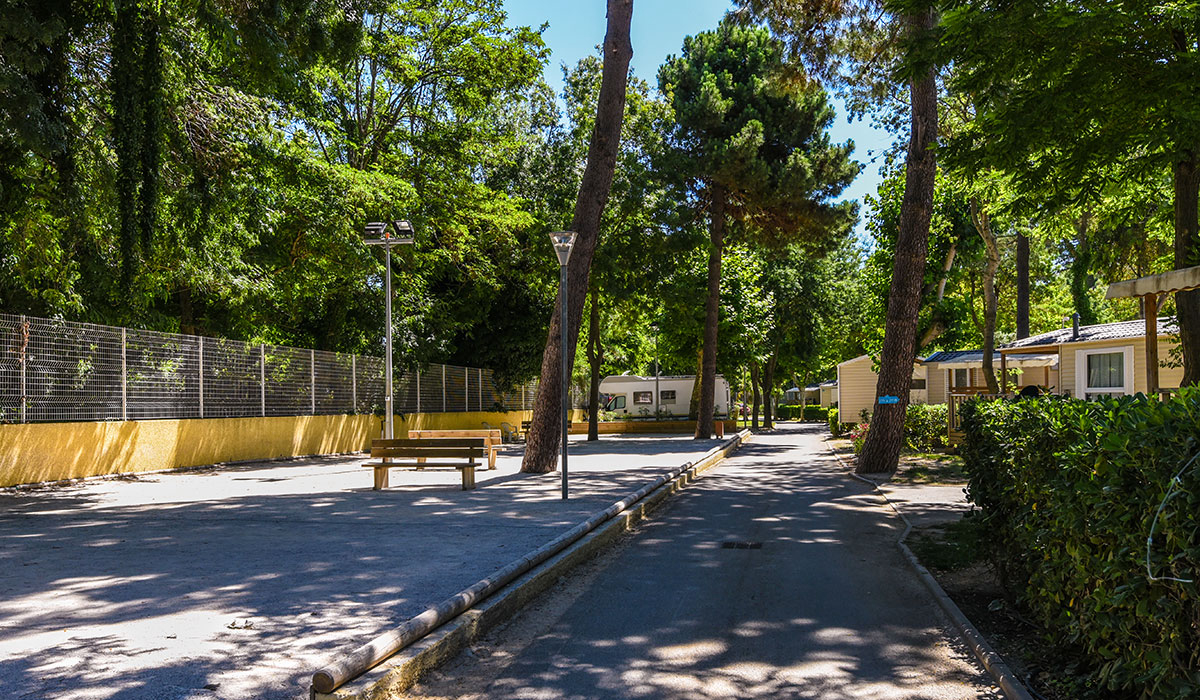 Camping Club MS Le Littoral Linguadoca-Rossiglione - Argelès-sur-Mer visuel 18/34 Camping Club MS Le Littoral Linguadoca-Rossiglione - Argelès-sur-Mer visuel 18/34