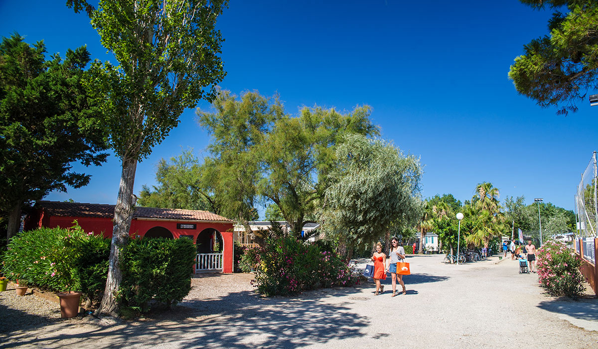 Camping Club MS Les Tamaris Linguadoca-Rossiglione - Le Barcarès visuel 19/46