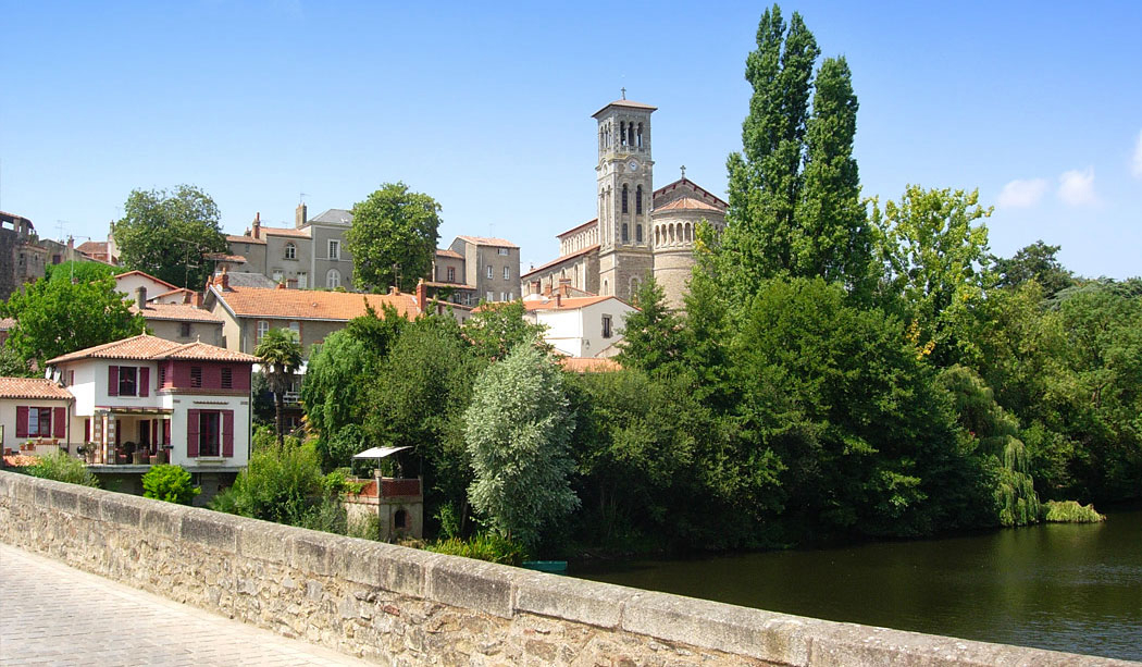 Coeur de Vendée Paesi della Loira - La Boissière-de-Montaigu visuel 9/10