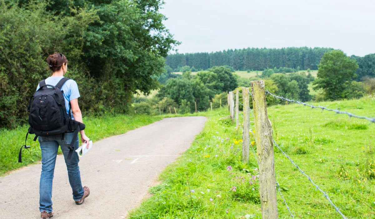 Colline de Rabais Lussemburgo - Virton visuel 8/8