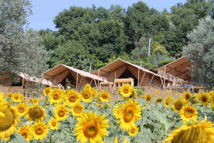 Countryhouse Il Girasole Marche - Massignano visuel 6/7 Countryhouse Il Girasole Marche - Massignano visuel 6/7