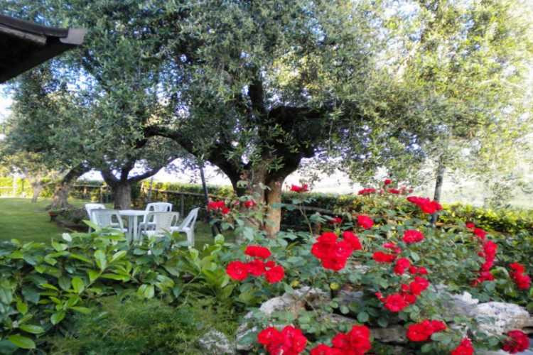 Countryhouse Il Girasole Marche - Massignano visuel 7/7 Countryhouse Il Girasole Marche - Massignano visuel 7/7