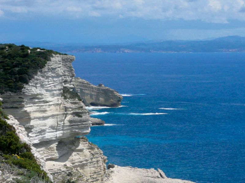 Cupulatta Corsica - Porto-Vecchio visuel 6/12